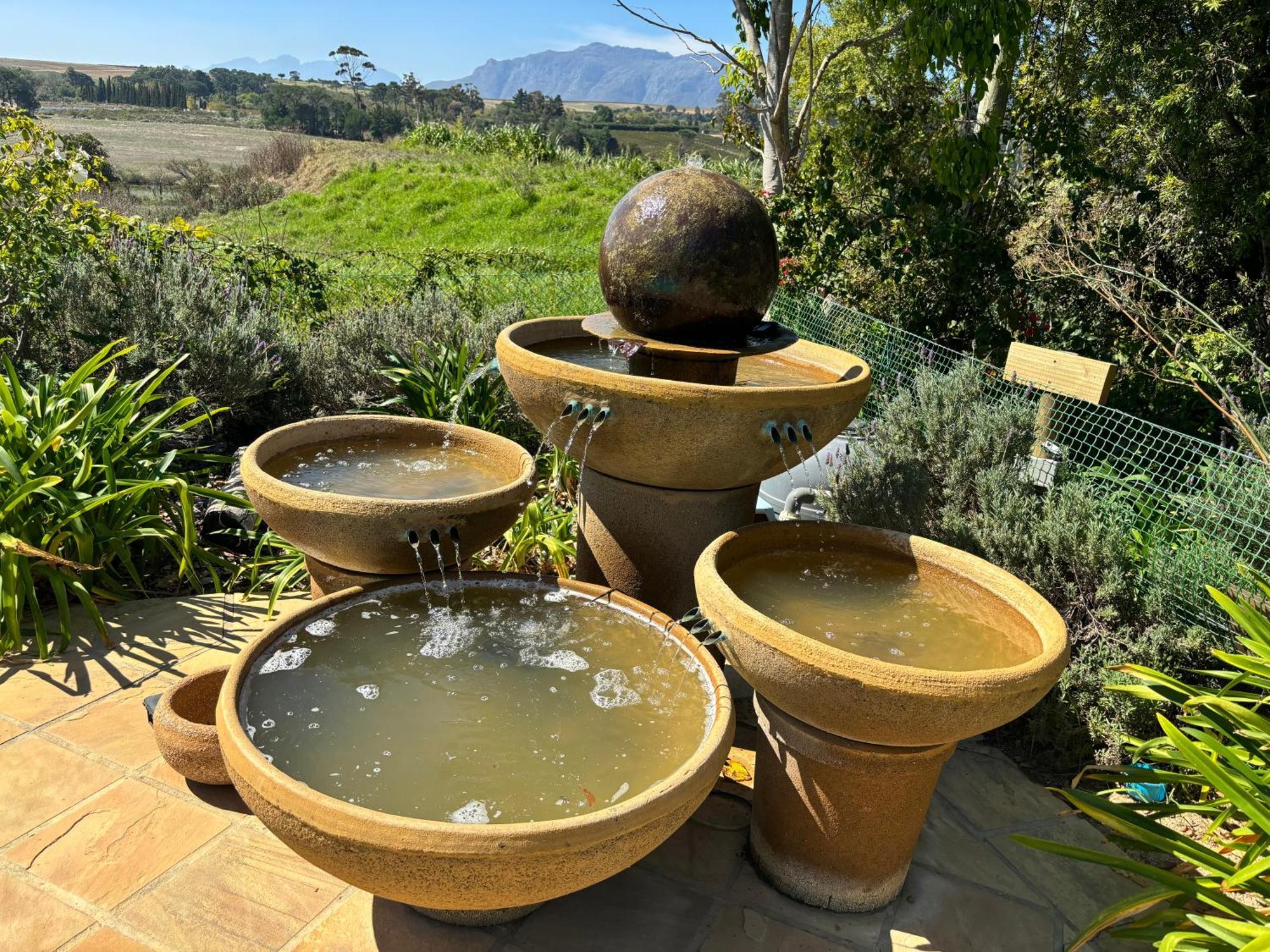 In The Vine Country Manor Stellenbosch