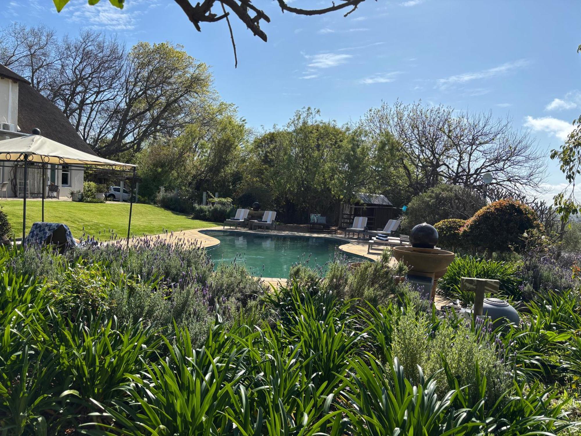 In The Vine Country Manor *