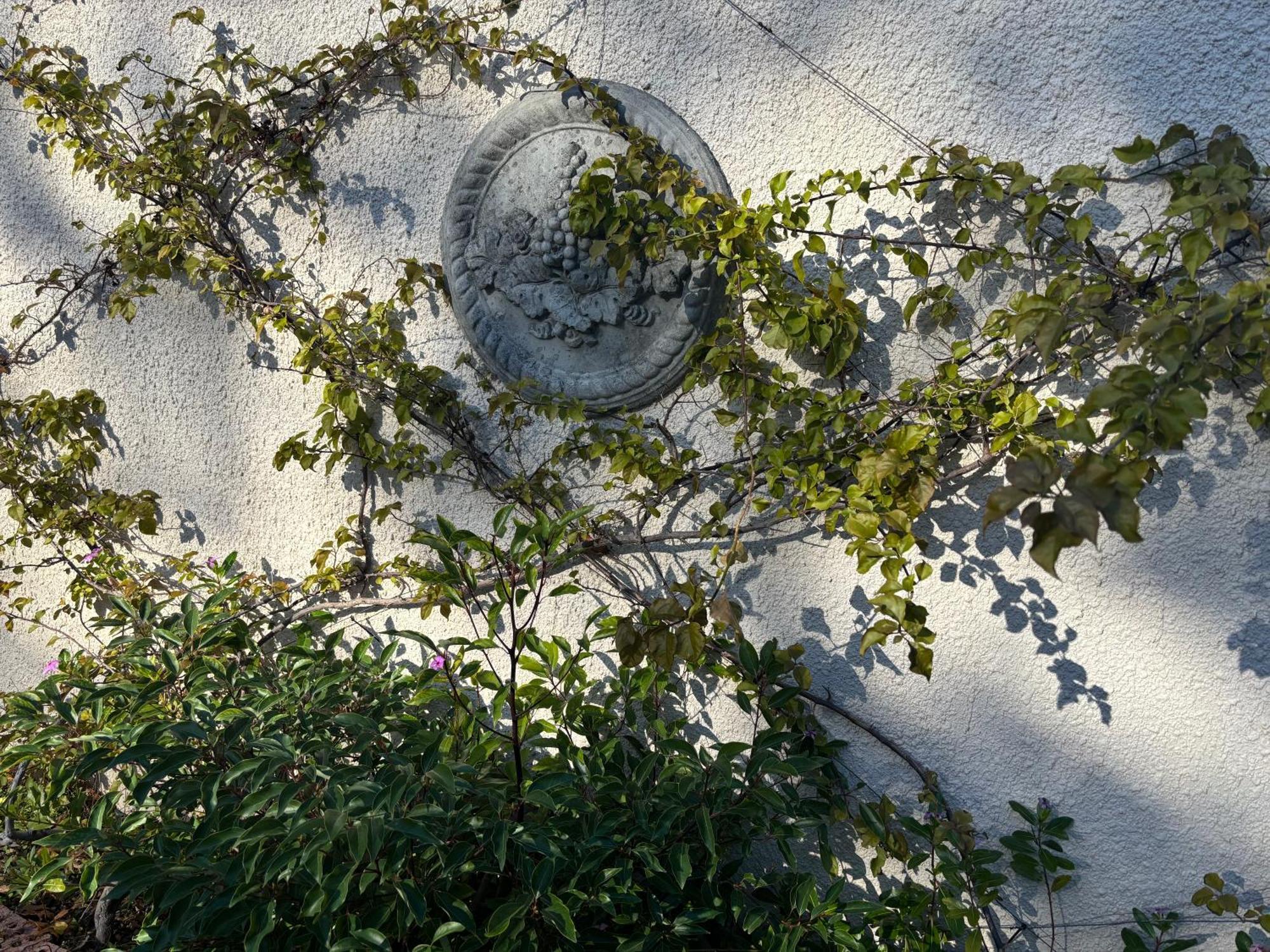 In The Vine Country Manor
